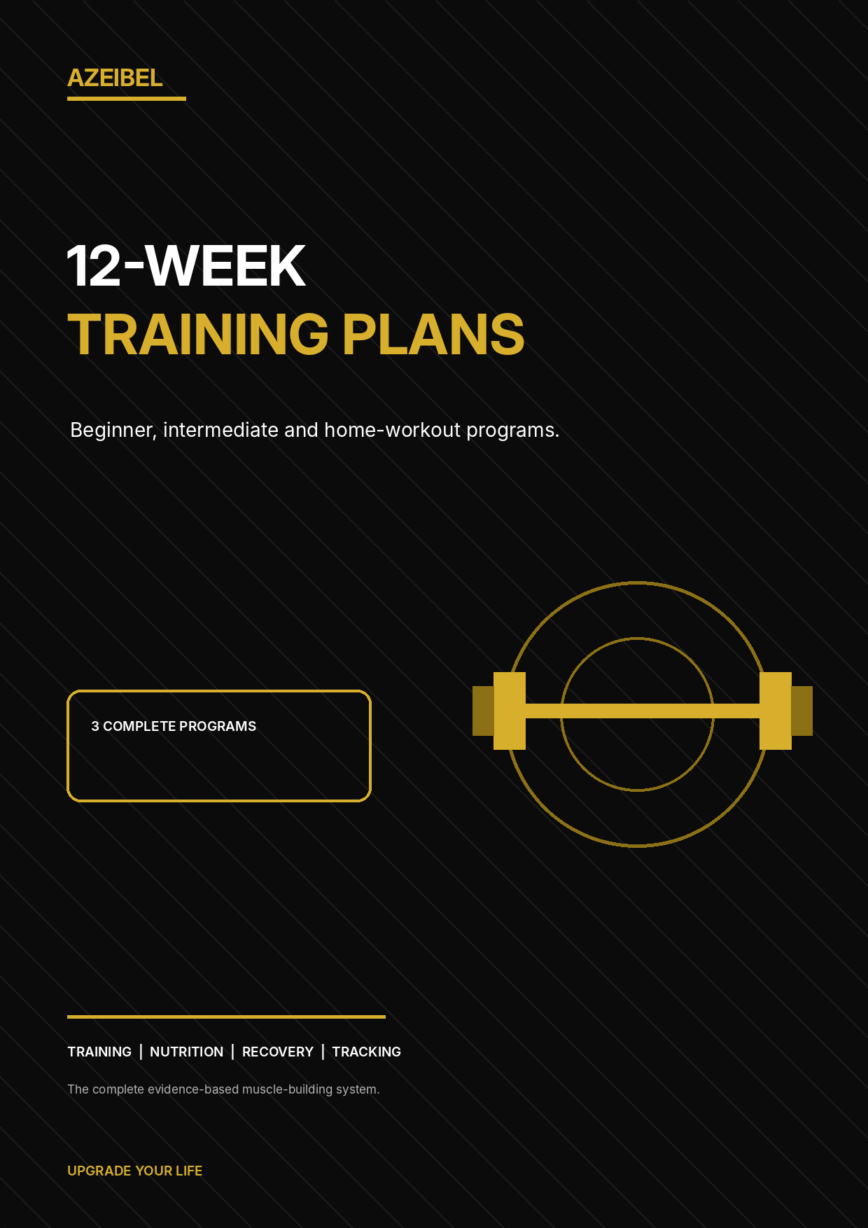 12 week training plans